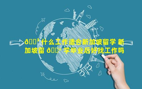 🐳 什么工作适合新加坡留学 新加坡留 💮 学毕业后好找工作吗